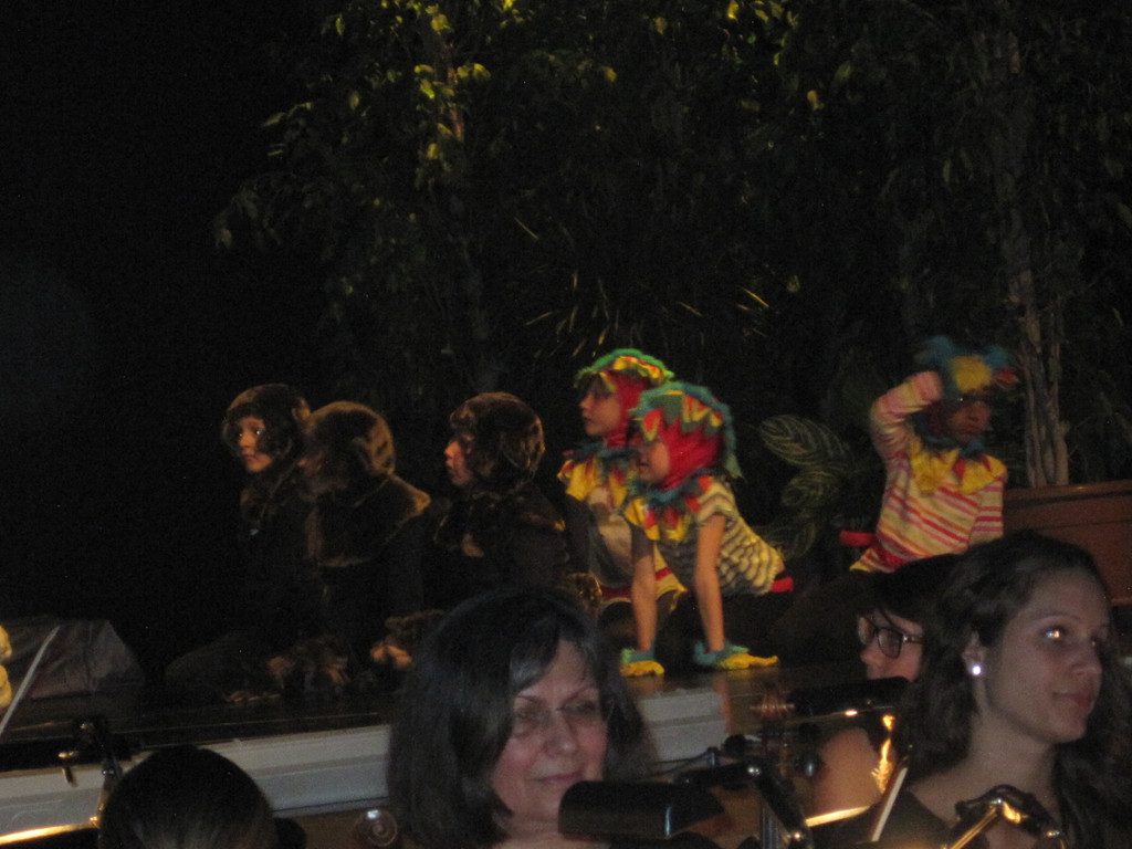 IMG_7994_JPG-1305451912