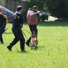 normal_14052011sicherheitffaktivnews_276.jpg