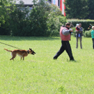 normal_14052011sicherheitffaktivnews_278.jpg