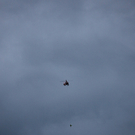 051411a4.jpg