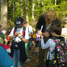 Waldtag 10_5_11 _19_.JPG
