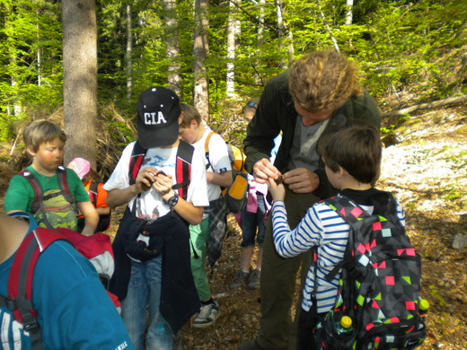 Waldtag 10_5_11 _19_.JPG