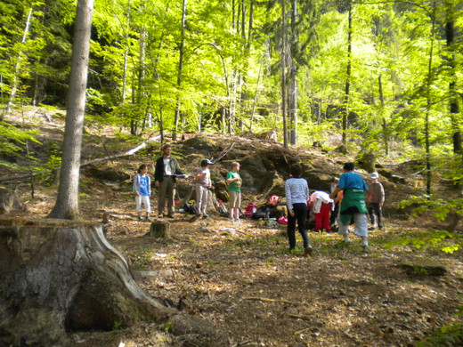 Waldtag 10_5_11 _21_.JPG