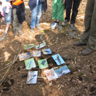 Waldtag 10_5_11 _14_.JPG