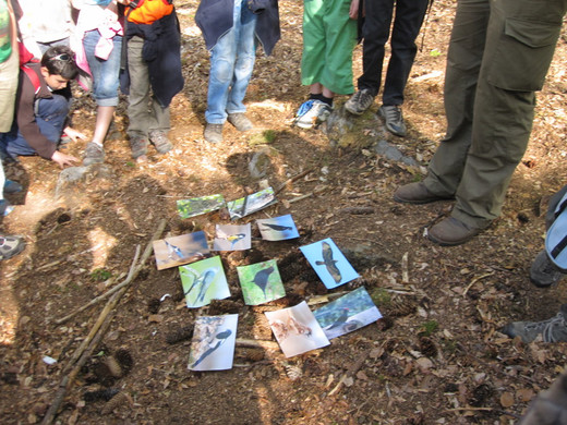 Waldtag 10_5_11 _14_.JPG