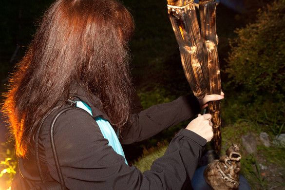 IMG_4372_jpg-1305484149