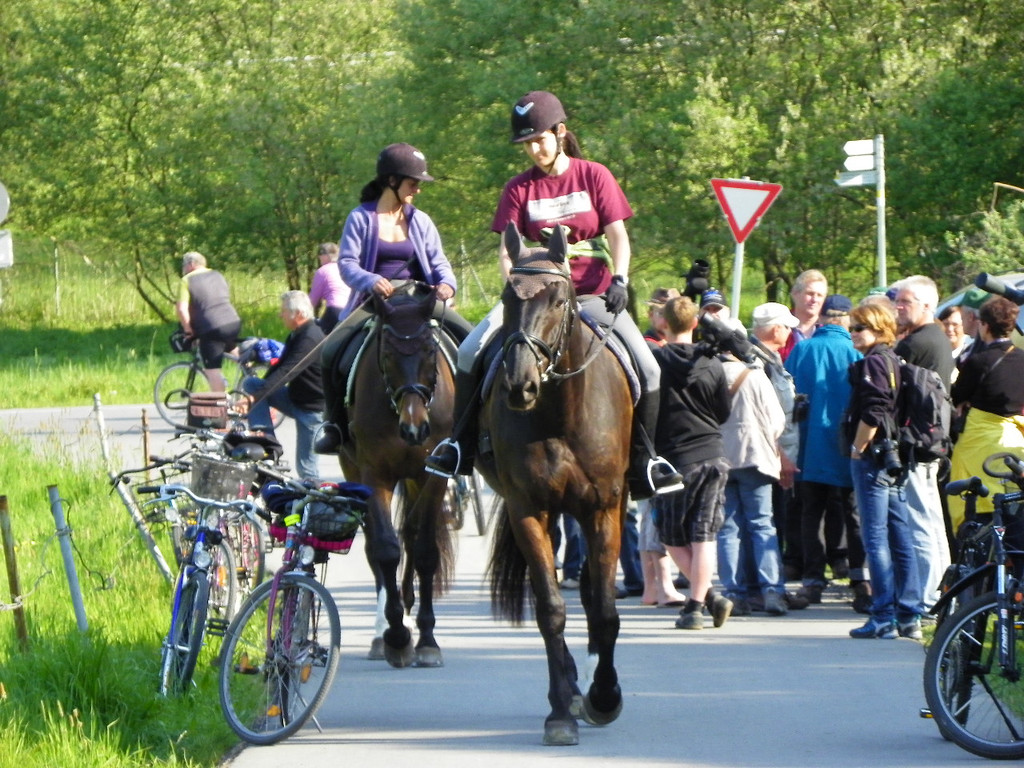 110_4535_JPG-1305496104