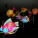 110_8448_JPG-1305501982