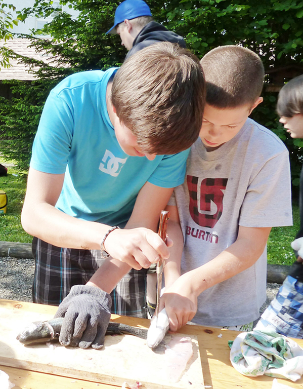 Filet1_jpg-1305536391