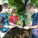 Filet4_jpg-1305536457