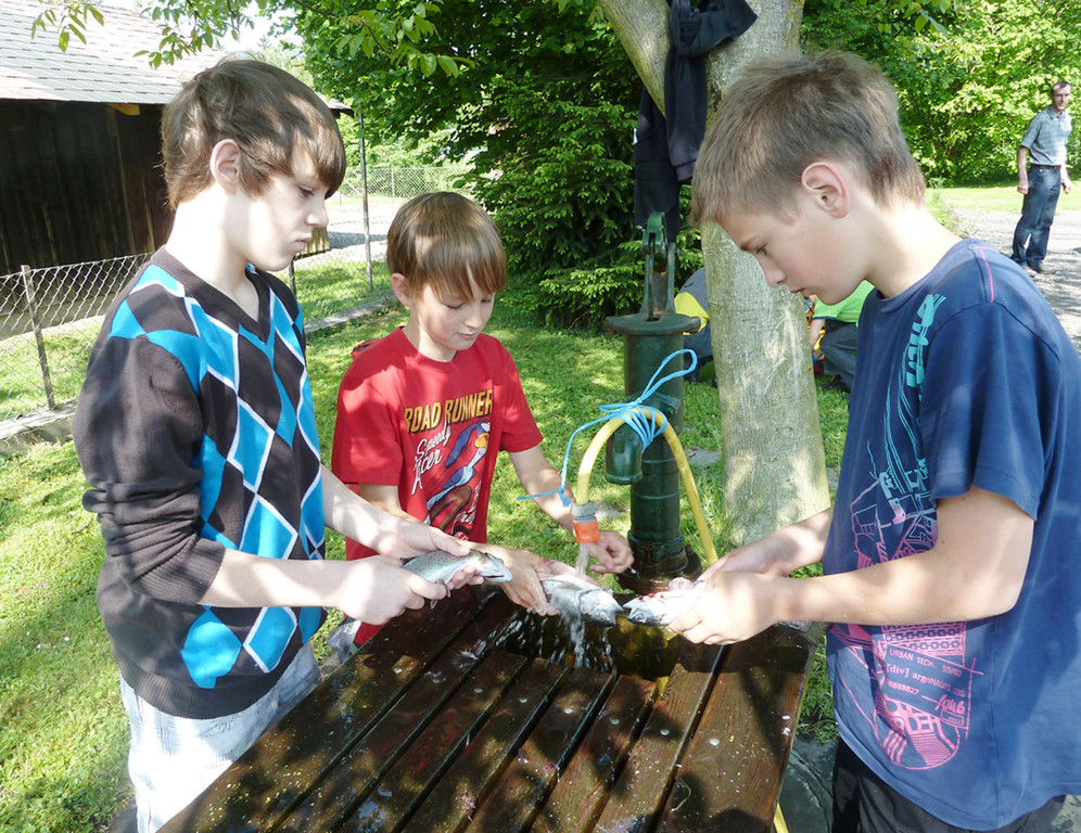 Filet4_jpg-1305536457