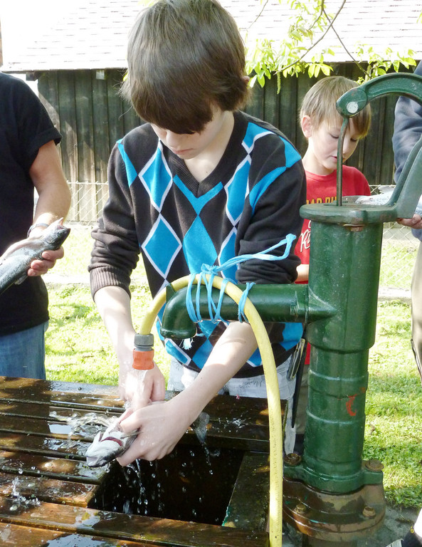 Filet17_jpg-1305536509