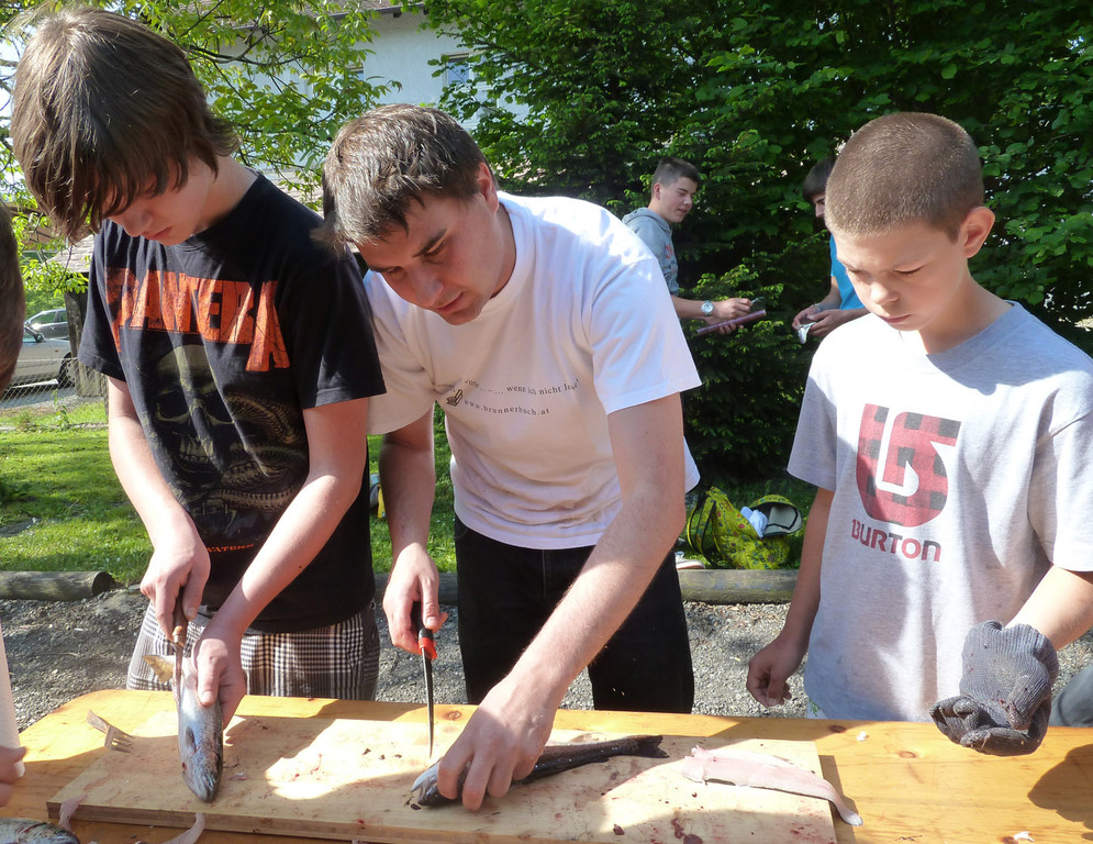 Filet13_jpg-1305536587