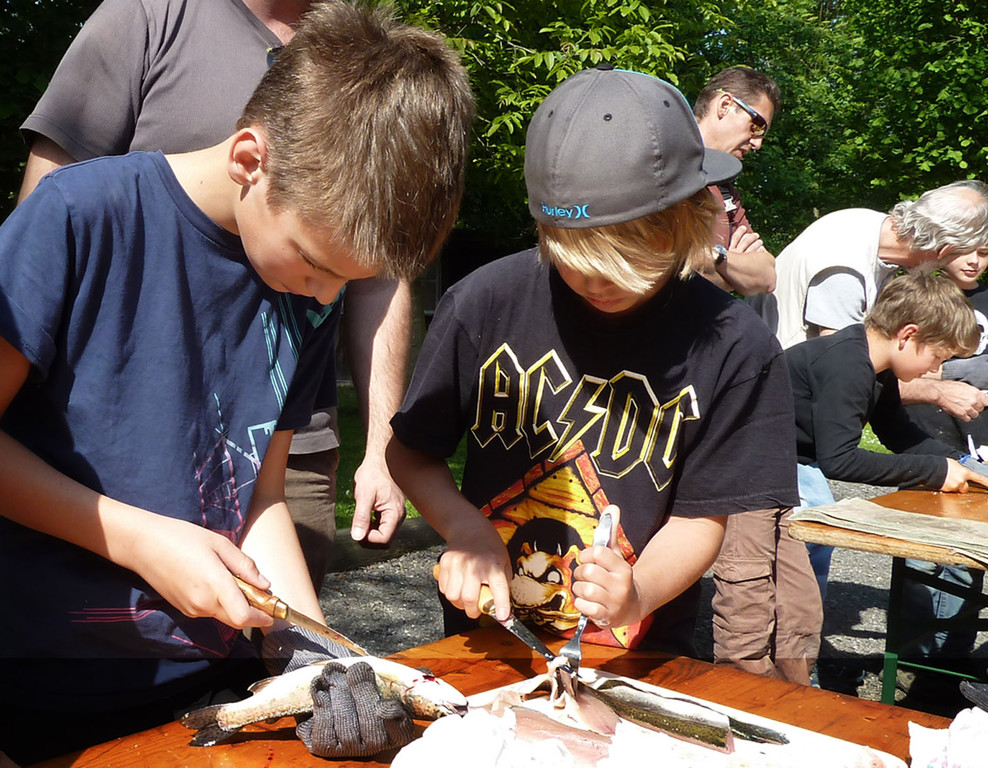 Filet14_jpg-1305536626