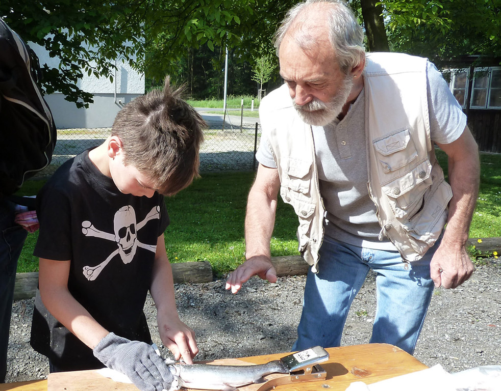 Filet11a __jpg-1305536658