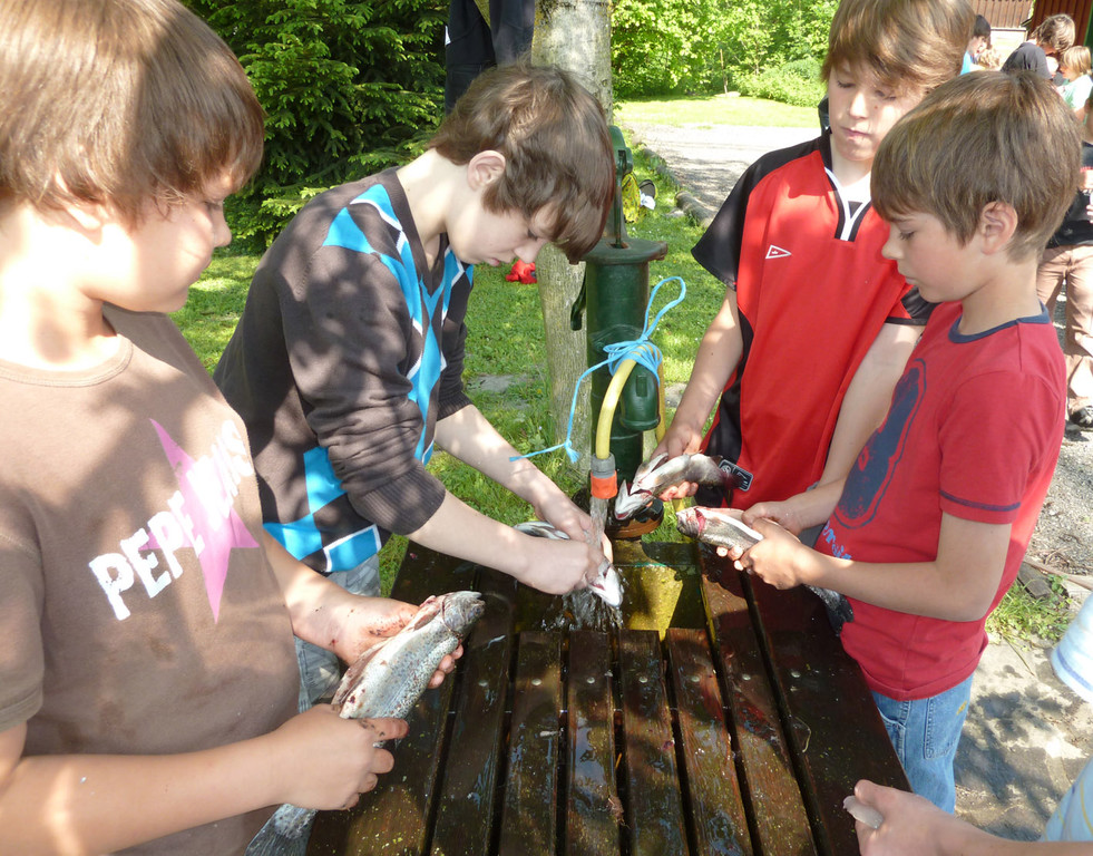 Filet10_jpg-1305536676