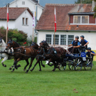 DSC_0159_JPG-1305537703