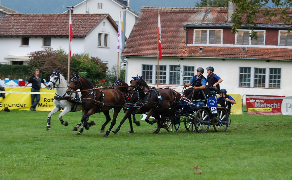 DSC_0159_JPG-1305537703