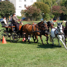 DSC_0220_JPG-1305537733