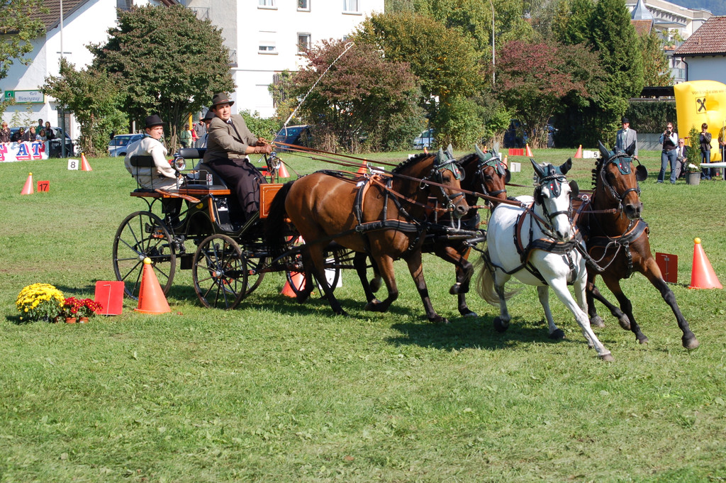DSC_0220_JPG-1305537733