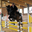 stilspringpr__fungl1 _6 von 93__jpg-1305537875