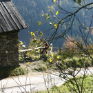 Im Lungauer Nature Fitness Park in Ramingstein gibt es 3 unterschiedliche Trails, auf denen Sie die wunderschöne Landschaft, ein