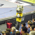 110_8785_JPG-1305590191