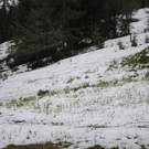 normal_160511schneesfaktivnews013.jpg