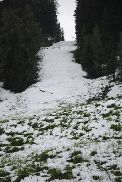 normal_160511schneesfaktivnews014.jpg