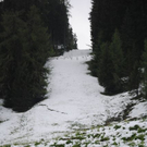 normal_160511schneesfaktivnews014.jpg