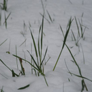 normal_160511schneesfaktivnews028.jpg