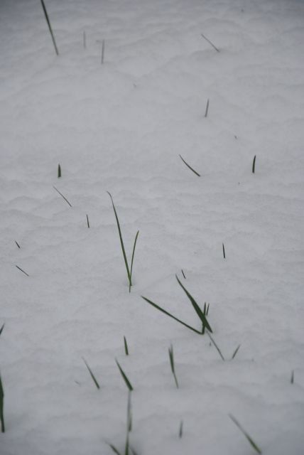 normal_160511schneesfaktivnews033.jpg