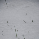 normal_160511schneesfaktivnews033.jpg