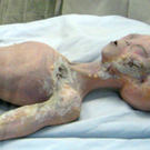 USA_New_Mexico_Roswell_Alien_International_UFO_Museum_Kopie_49f2e52a6e4fc.jpg