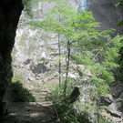 IMG_1741_JPG-1305627762