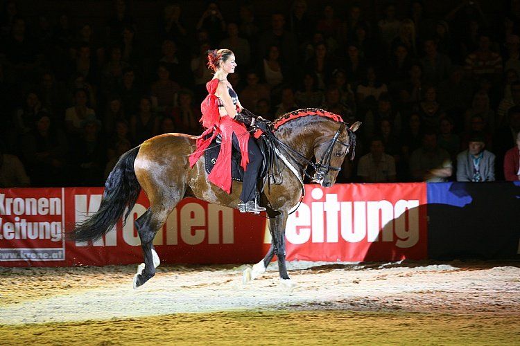 qumessewelsnachtderpferde2011andreakahn_big.jpg