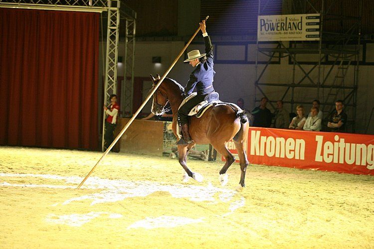 qumessewelsnachtderpferde2011arbeitmitdergarrocharolfjanzenmihaimaldea2_big.jpg