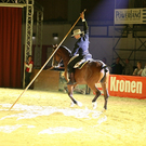 qumessewelsnachtderpferde2011arbeitmitdergarrocharolfjanzenmihaimaldea2_big.jpg