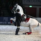 qumessewelsnachtderpferde2011gestuetlipicahoheschuleueberdererde1_big.jpg