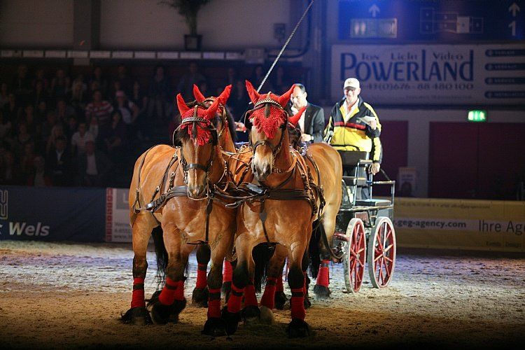 qumessewelsnachtderpferde2011gigantenimsportrobertshiremeier2_big.jpg