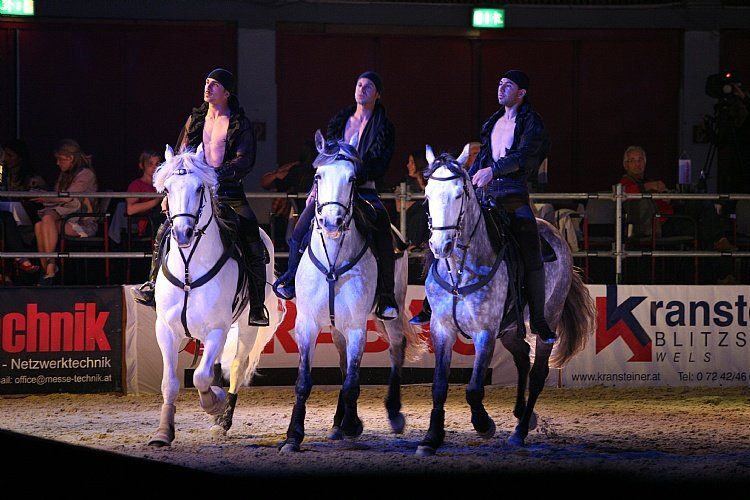 qumessewelsnachtderpferde2011gionashow1_big.jpg