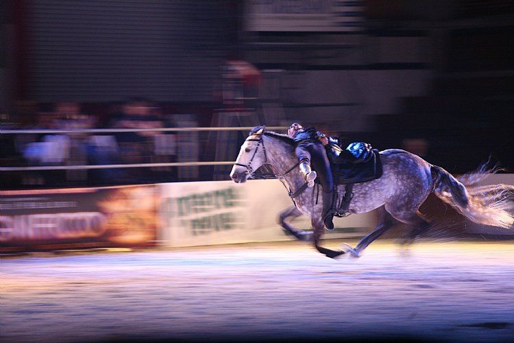 qumessewelsnachtderpferde2011gionashow2_big.jpg