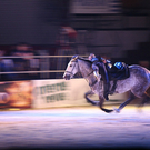 qumessewelsnachtderpferde2011gionashow2_big.jpg
