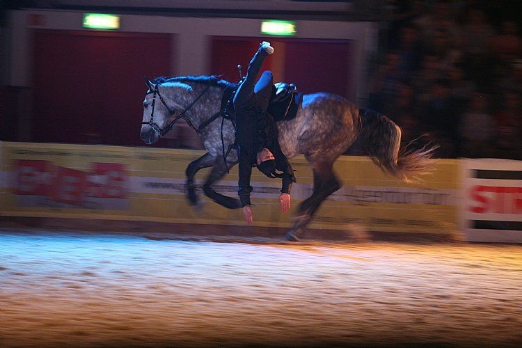 qumessewelsnachtderpferde2011gionashow4_big.jpg