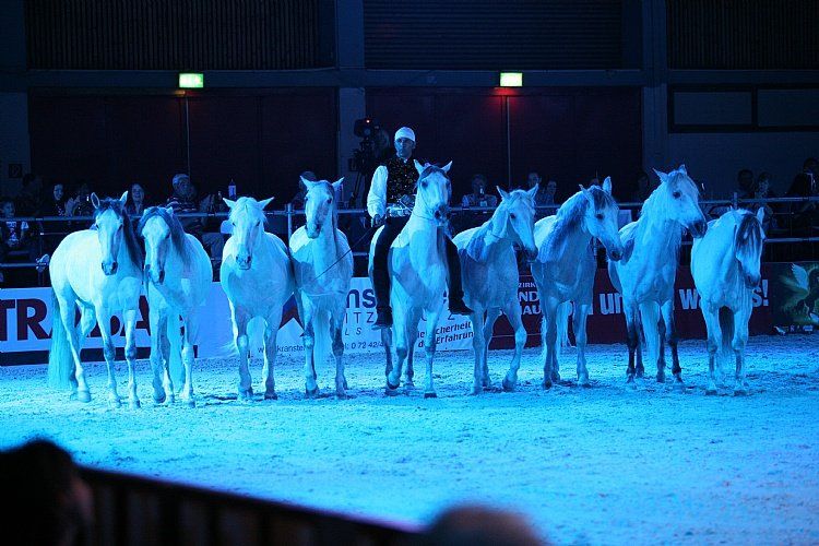 qumessewelsnachtderpferde2011gionashowcavalliinliberta4_big.jpg