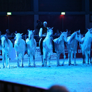 qumessewelsnachtderpferde2011gionashowcavalliinliberta4_big.jpg