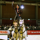 qumessewelsnachtderpferde2011gionashowdesulteros1_big.jpg