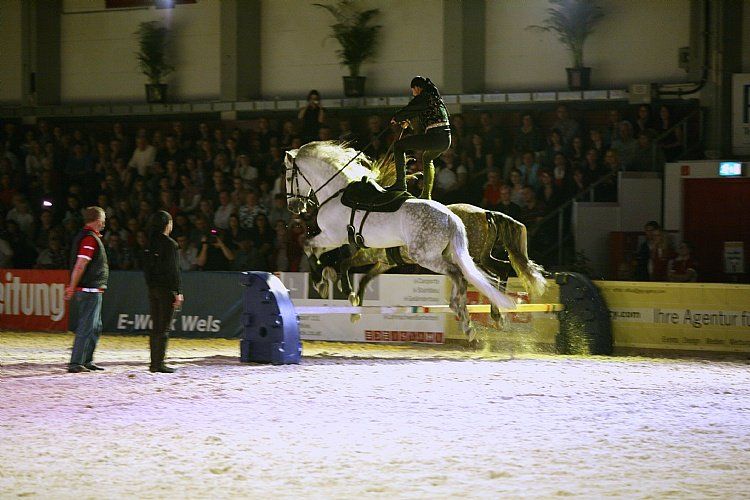 qumessewelsnachtderpferde2011gionashowdesulteros6_big.jpg