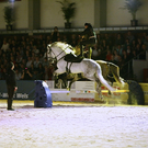 qumessewelsnachtderpferde2011gionashowdesulteros6_big.jpg