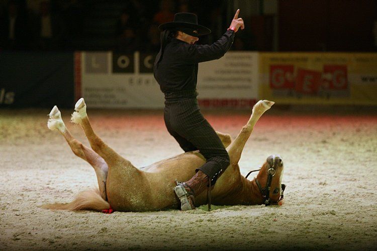 qumessewelsnachtderpferde2011mihaimaldeazorro3_big.jpg